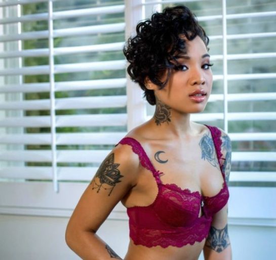 The Top 10 Hottest Ebony, Black Porn Stars of 2024 Music Raiser