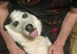 28 Awesome memes that will leave smile on your face (16)