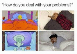 32 Happy Memes to Make Your Whole Day Better