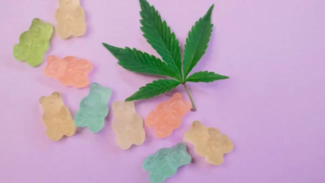 Buy CBD Gummies