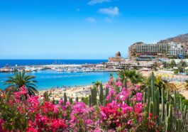 10 Reasons You Must Visit Gran Canaria Before You Die