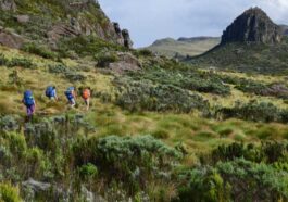 Discover Kenya's Wilderness: Ultimate 7-Day Backpacking Adventure!