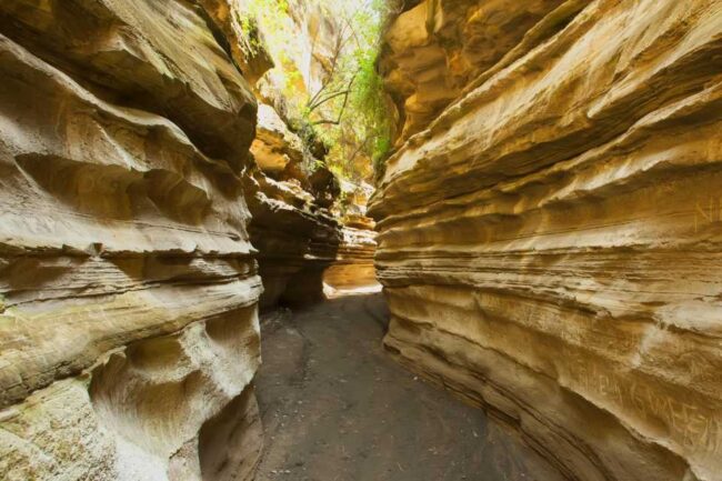 Hell's Gate (Naivasha)