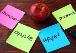 The Importance of Learning a Language Before Moving to a New Country and Its Benefits