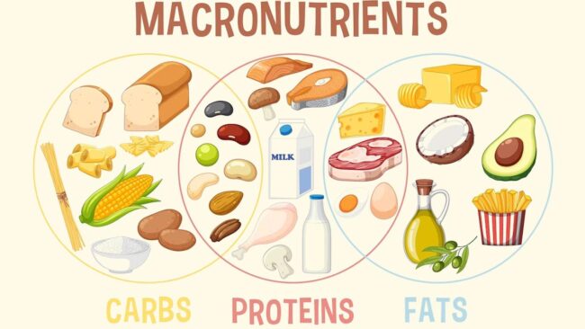 Macronutrient Considerations (Carbs, Protein, and Fats)