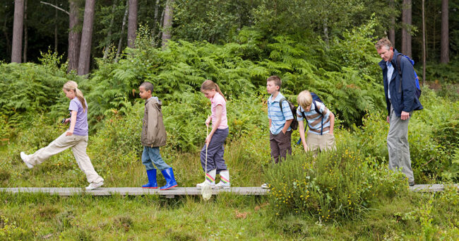 Teacher and pupils on field trip