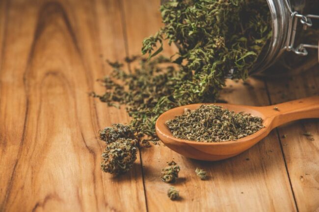 cannabis thc