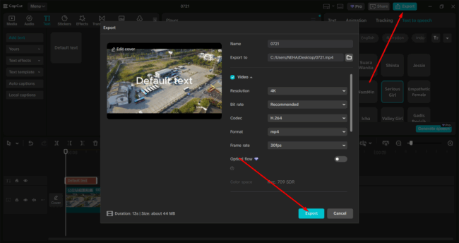 Export Video