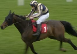 Jockey in blue and gold stripes and white breeches rides a brown racehorse