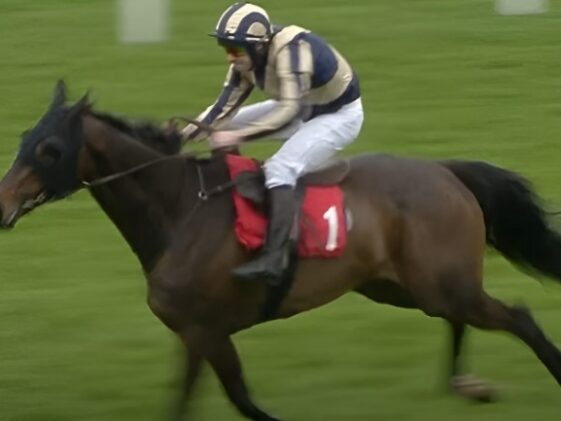 Jockey in blue and gold stripes and white breeches rides a brown racehorse