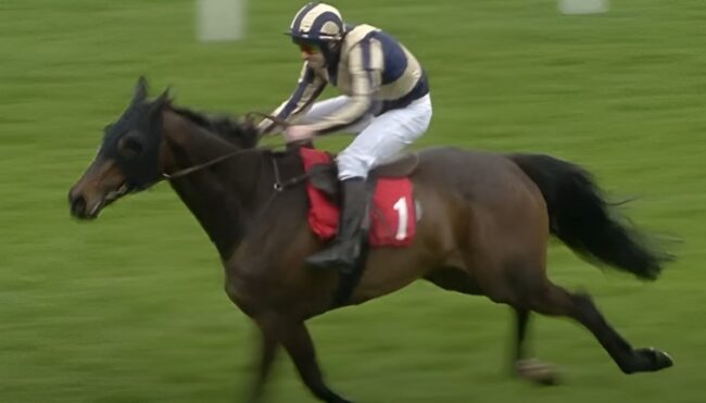 Jockey in blue and gold stripes and white breeches rides a brown racehorse