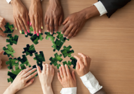 Create a Sustainable and Productive Work Culture