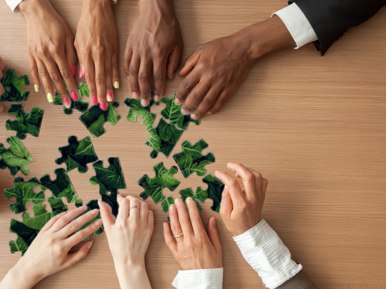 Create a Sustainable and Productive Work Culture
