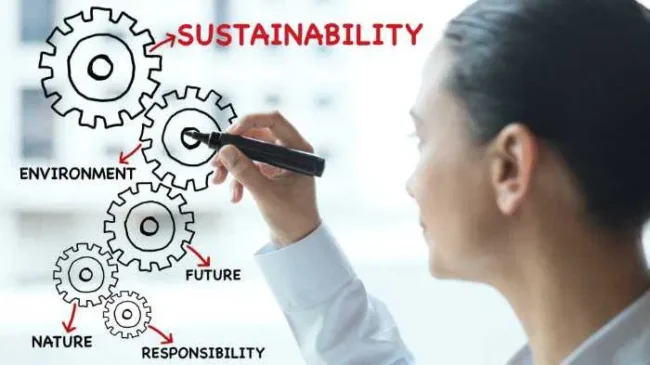 Sustainable organizations prioritize transparency