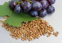 Grape Seed Extract