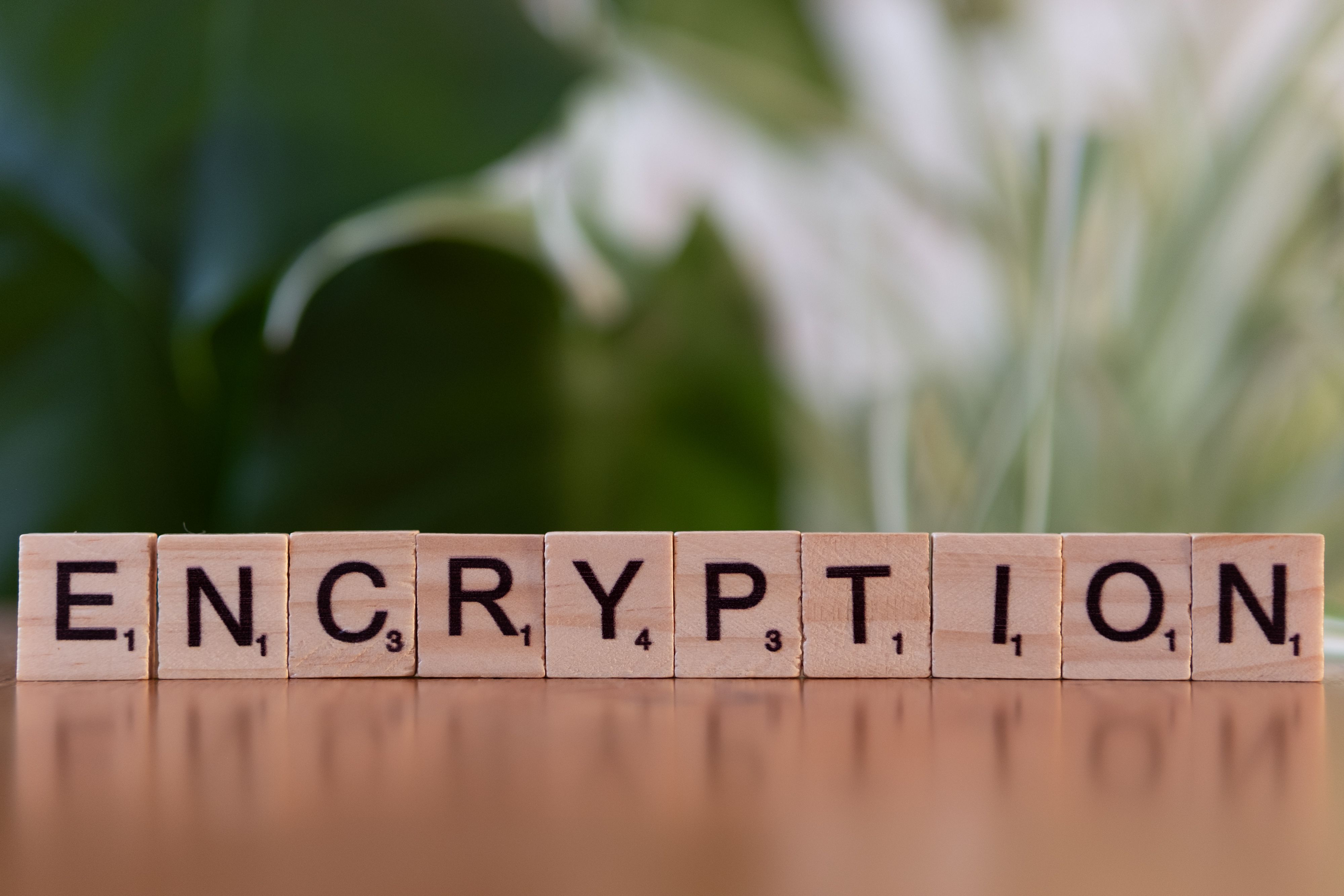 Wooden blocks spelling encryption, symbolizing data security and privacy protection on a VPS